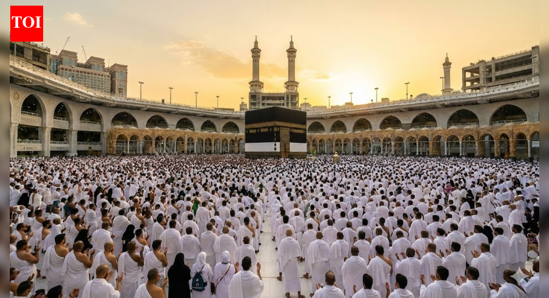 Saudi Arabia introduces new Hajj transport rules; fines up to SR100,000 (,000) | World News