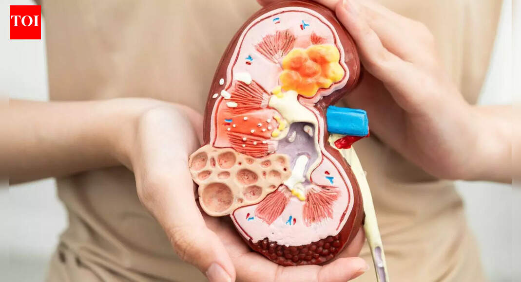 Reverse kidney damage naturally: Foods and habits for reducing inflammation and boosting metabolism |