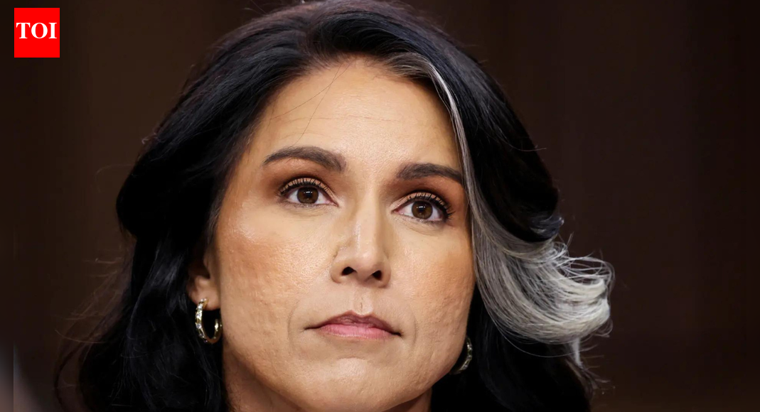Too late for Europe, maybe Australia, but not for US: Tulsi Gabbard on Sydney’s Bondi Beach attack