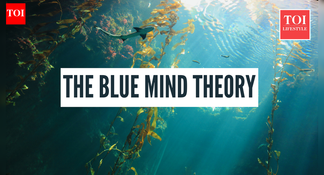 What is the blue mind theory and how you can harness its benefits |