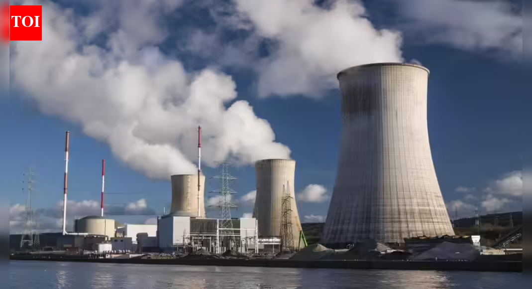 India to have at least 5 indigenously designed, developed small modular nuclear reactors | India News