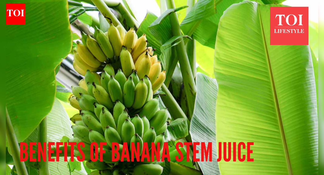 5 health benefits of banana stem juice