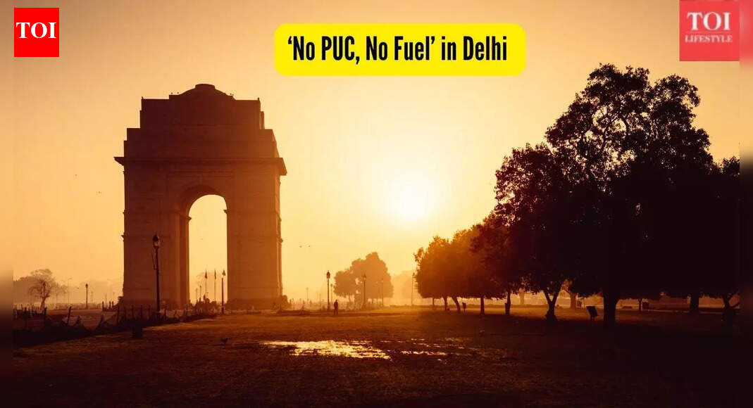 Delhi Pollution Crisis: ‘No PUC, No Fuel’ measure enforced under GRAP-4 as air quality continues to dip
