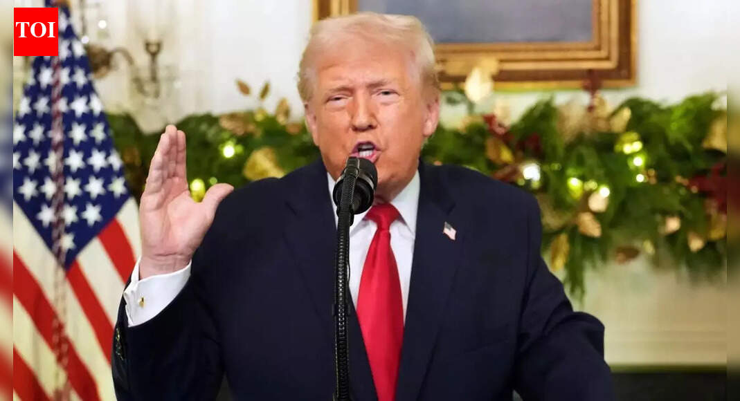 ‘We made a lot more money … ‘: Trump says tariffs are paying US military ,776 ‘warrior dividend’— here is how