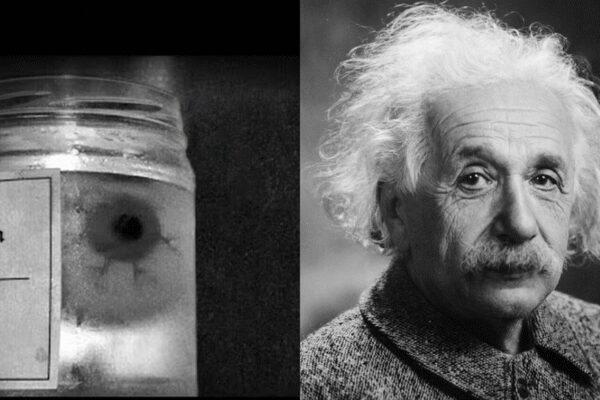 Albert Einstein’s eyes were stolen after his death and hidden in a New York safe-deposit box |