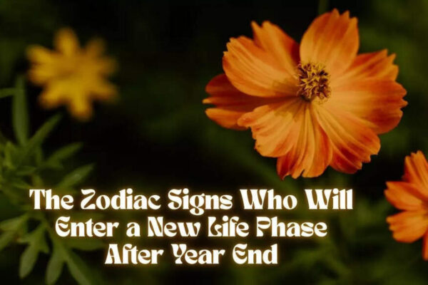 The Zodiac Signs Who Will Enter a New Life Phase After Year End