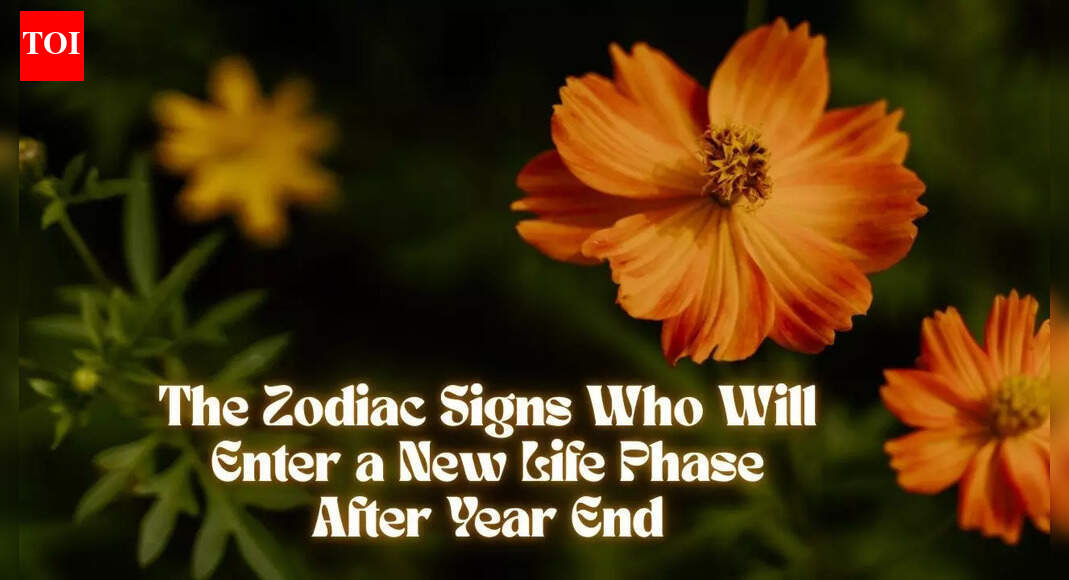 The Zodiac Signs Who Will Enter a New Life Phase After Year End