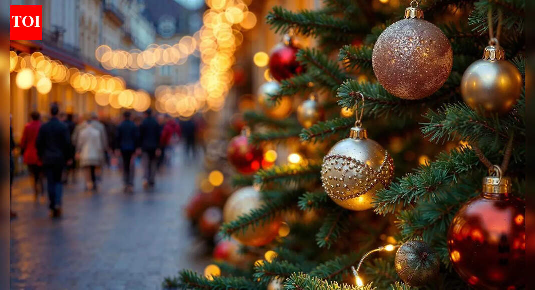 7 beautiful plants you can use instead of a traditional Christmas tree this festive season |