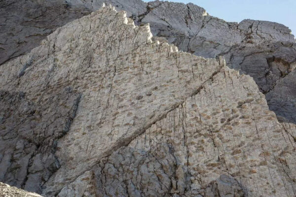20,000 Triassic dinosaur footprints found in Italy reveal rare clues to prehistoric group life