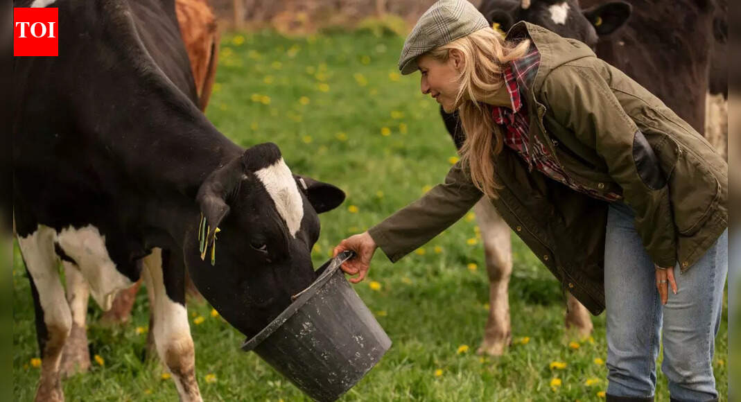 Which animal you should feed according to your birth date