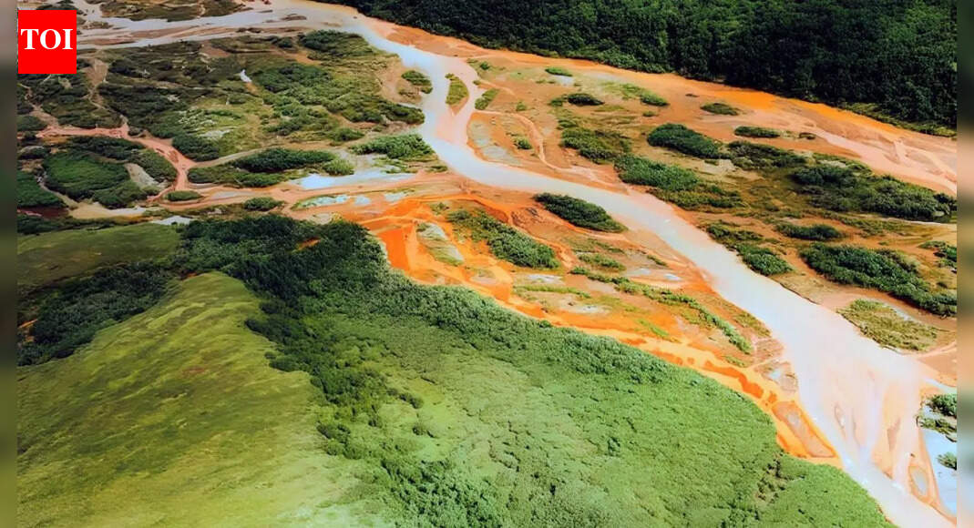River in northern Alaska turns orange due to rising heavy metal pollution | World News
