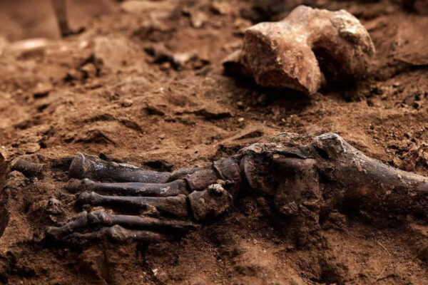 Oldest known evidence of parent-child incest found in 3,700-year-old bones in Italy