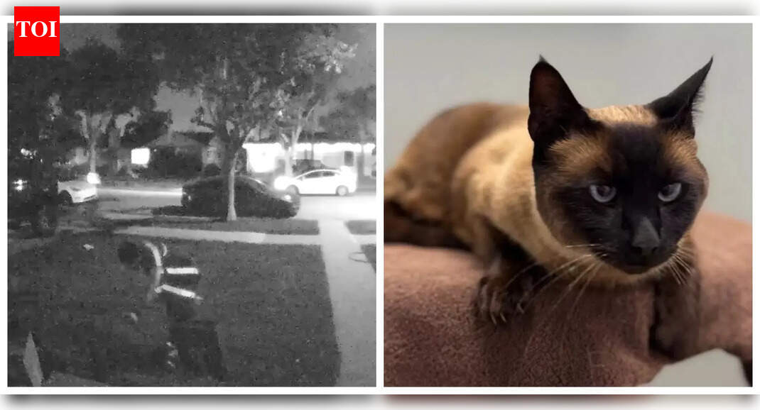 ‘Horrible’: Amazon bans delivery worker after doorbell footage revealed he stole a cat from California home