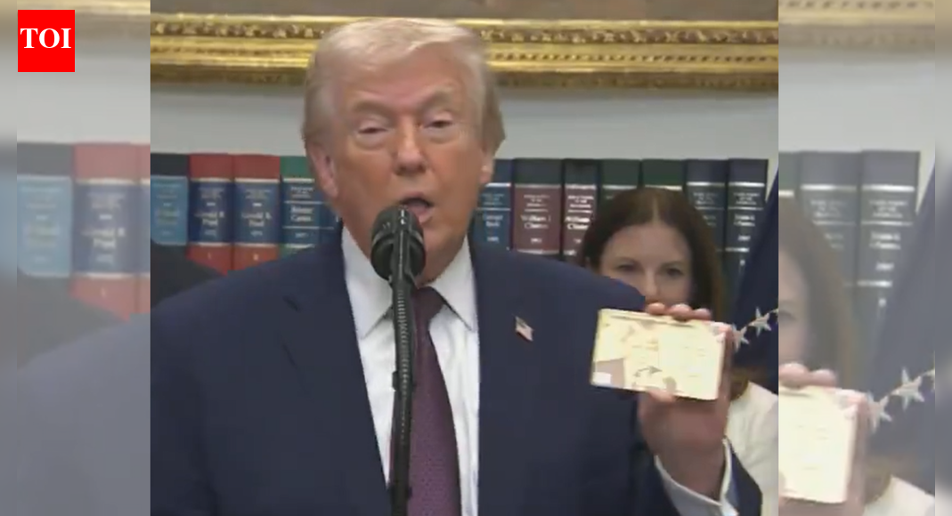 ‘Green card on steroids’: Trump unveils  million ‘Gold Card’ immigration visa – video