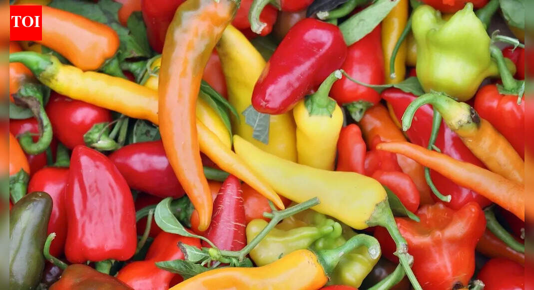 ​How to grow peppers indoors for year-round fresh harvests