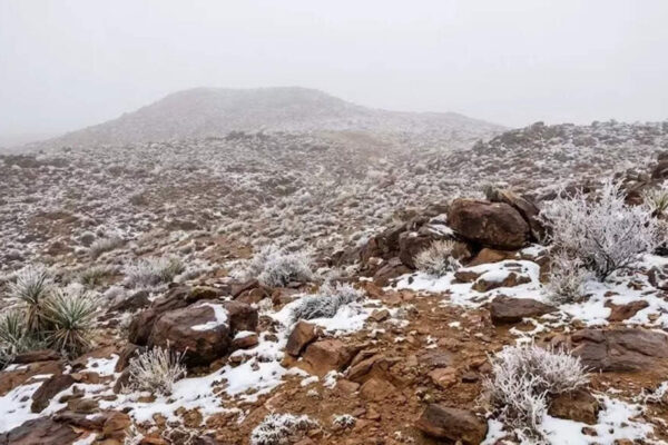Saudi Arabia records rare snowfall in Tabuk and Hail as videos go viral | World News