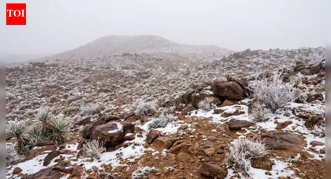 Saudi Arabia records rare snowfall in Tabuk and Hail as videos go viral | World News