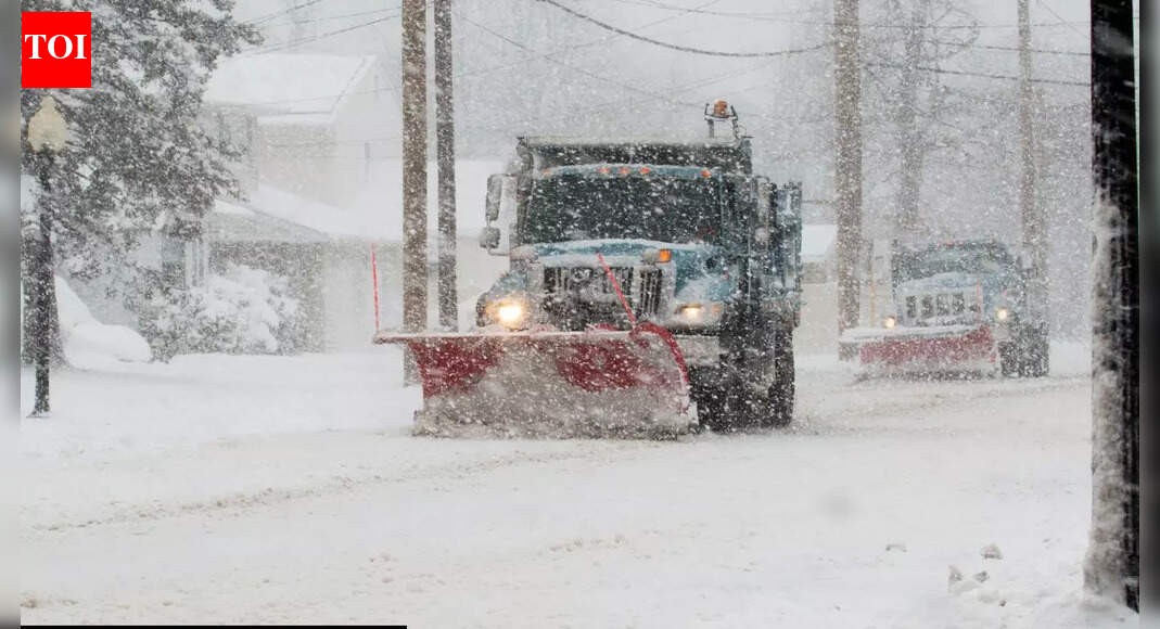 8 types of salt that melt snow on winter and how to choose the right option |