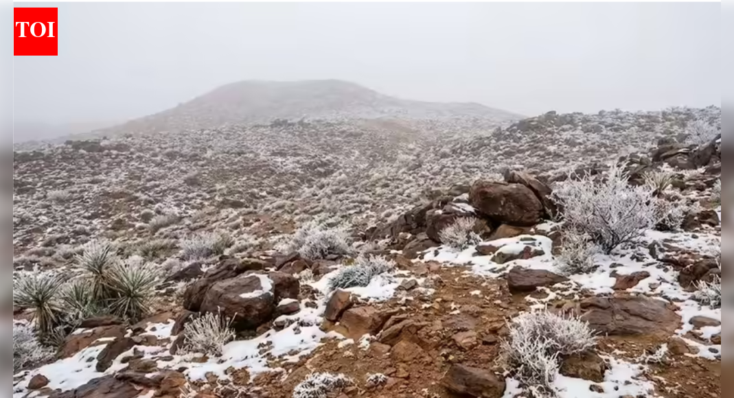 Rare snowfall turns Saudi Arabia’s desert mountains winter white — watch videos |