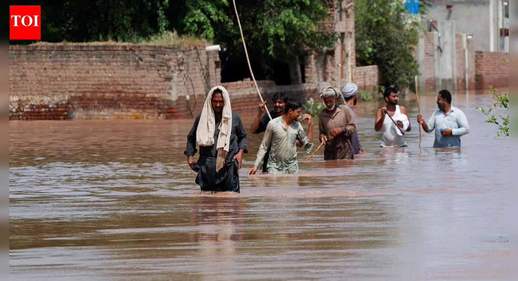 Pakistan winter rain chaos: Two women killed in Balochistan crash; cities struggle with power crisis