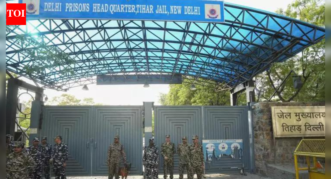 ‘Pay up and meet inmate at Tihar Jail’: How relatives were trapped in illegal mulakat charges