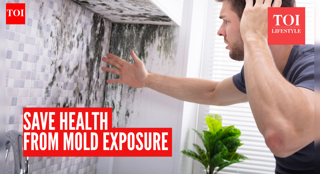 Mold exposure at home: How to protect your health until you get a long-term fix