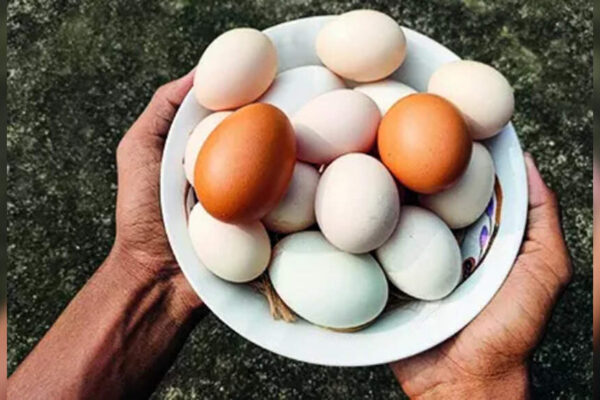 Eggs in India pose no cancer risk, says food safety regulator