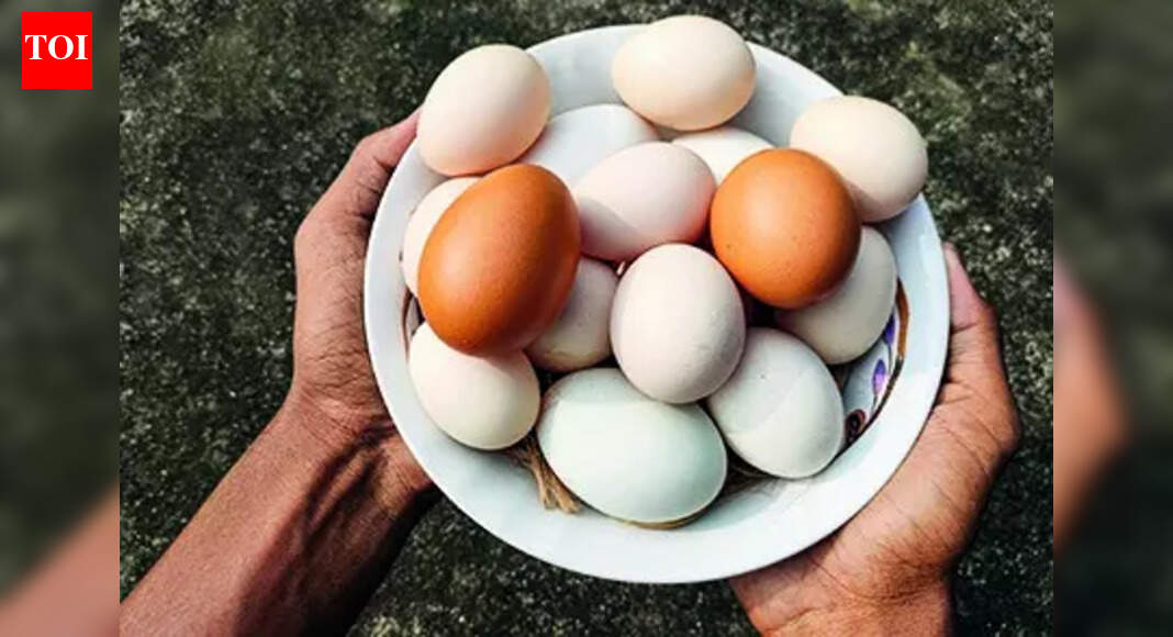 Eggs in India pose no cancer risk, says food safety regulator