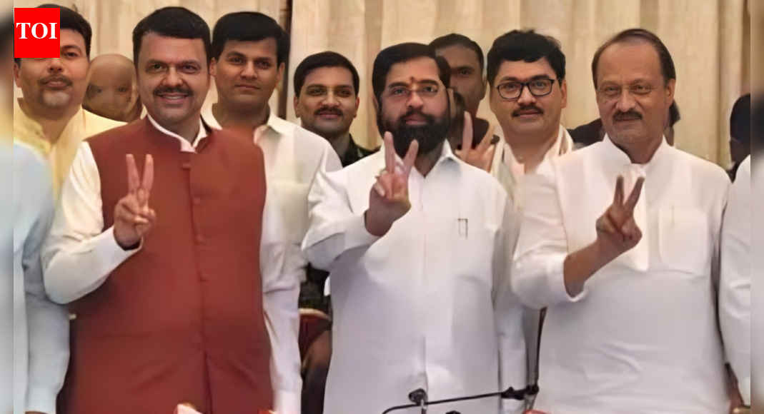 Mahayuti sweeps Phase 1 of Maharashtra local body polls