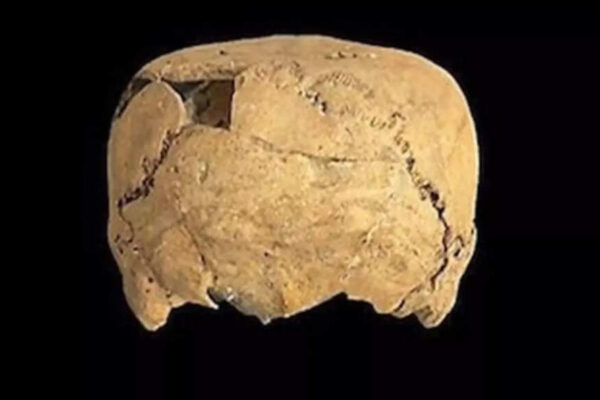 ‘For the first time’: Cube-shaped skull found in Mexico reveals shocking ancient cultural practice