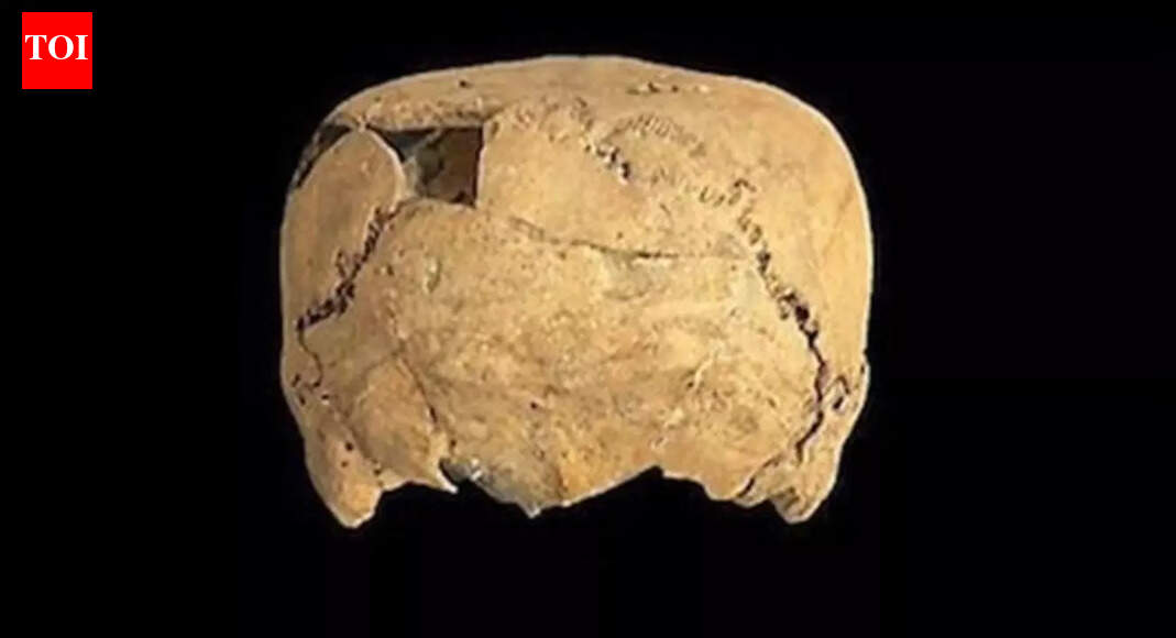 ‘For the first time’: Cube-shaped skull found in Mexico reveals shocking ancient cultural practice