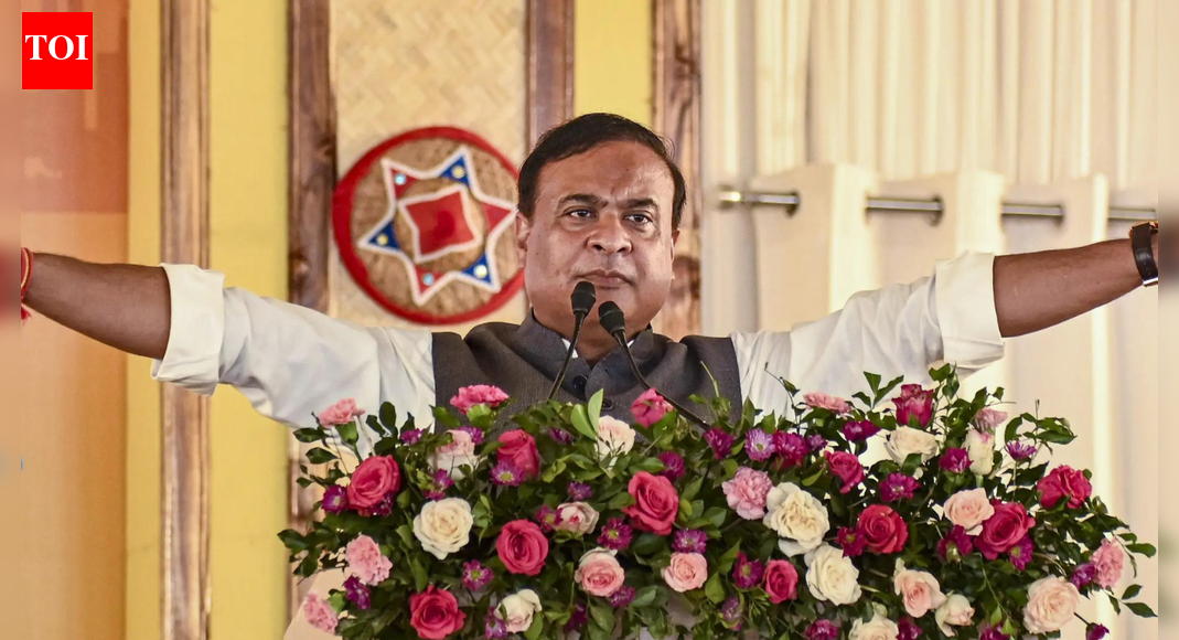 PTI file photo GUWAHATI: Assam Police and BSF, in a joint operation Sunday, sent 19 illegal immigrants back to Bangladesh. The individuals were apprehended from Nagaon and Karbi Anglong.Chief minister Himanta Biswa Sarma described the move as a “full Doomsday moment” for infiltrators. In an X post, he said they had “disappeared from India, reappeared in their hell hole.” “Message is crystal clear – Illegal stay in Assam? Endgame guaranteed,” he wrote on social media, emphasising state govt’s firm stance against illegal immigration.Officials involved in the operation stated that the deportation was part of a broader campaign to address illegal settlements posing a threat to Assam’s demographic balance and security. The swift and decisive action serves as a warning to those considering Assam as a potential refuge, they said.This operation aligns with Sarma’s ongoing efforts to protect Assam’s identity, reinforcing a no-nonsense approach to illegal immigration, officials said. End of ArticleFollow Us On Social MediaVideosSikh Nagar Kirtan In New Zealand Disrupted By Protesters; Mann, Badal Urge Centre To Intervene‘Not Misleading Propaganda’: Bangladesh Responds To India Over Delhi High Commission Protest‘Have To Stay United’: RSS Chief Mohan Bhagwat On Atrocities Against Hindus In BangladeshIndia Rejects Dhaka Media Reports On Protest Outside Bangladesh HC, Flags Attack Against MinoritiesViewing ‘Sangh’ Through the Lens of the BJP Is a Huge Mistake, Says RSS Chief Mohan BhagwatBangladesh Arrests 10 After Brutal Killing of Hindu Youth in Mymensingh“Generation After Generation”: Yunus Vows To Fulfil Sharif Osman Hadi’s Vision And IdealsMassive Crowds Gather in Dhaka for State Funeral of Slain Youth Icon Osman HadiPAK Citizens Criticize “Weak Judiciary” As Imran Khan’s Prison Term Is IncreasedHindu Lynching Sparks Outrage: Shashi Tharoor Warns On Mob Rule, Priyanka Blasts Modi Govt Silence123Photostories5 best oils to apply on the navel: Benefits, uses, and what to know before trying them7 indoor exercises that can strengthen muscles in people above 405 essential tips to stay healthy if you work night shifts5 things one must always donate in temples and whyBenjamin Franklin once said, “An investment in knowledge pays the best interest”: 5 lessons it teaches studentsWhy your brain does not want you to multitaskBigg Boss Telugu 9: Meet the finalists of the season10 tips for good mental health you should be taking to 20268 life lessons from “Man’s Search for Meaning” by Viktor FranklWorld Saree Day: 5 sarees from Incredible India that put the country on the global fashion map123Hot PicksTom BradyEpstein files releasedTim SaunderGold rate todaySilver rate todayPublic Holidays DecemberBank Holidays DecemberTop TrendingJosh Allen Luxury Car CollectionRandi MahomesAuston MatthewsPatrick MahomesJeremy Doku and Shireen Doku Net WorthUPPSC LT Grade Teacher ExamPaul Heyman and Marla Heyman Net WorthBengaluru TempeturePM Modi HelicopterRailway Fare Hike