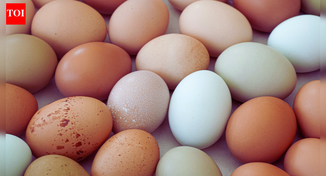 No cancer risk from eggs, says FSSAI, dismissing social media claims