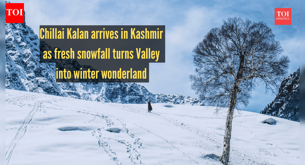 Chillai Kalan arrives as fresh snowfall turns Valley into winter wonderland