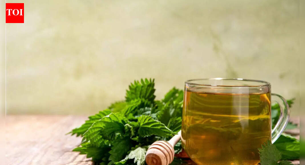 Prostate health: THIS herbal drink could help with frequent urination and bladder comfort; know who should avoid and how to prepare |