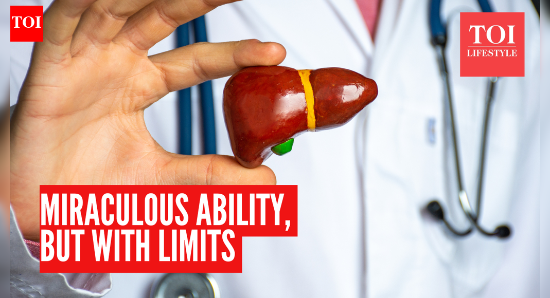 Liver Regeneration: Ever heard about the liver’s ability to regenerate? Here’s when healing is possible and when it’s not |