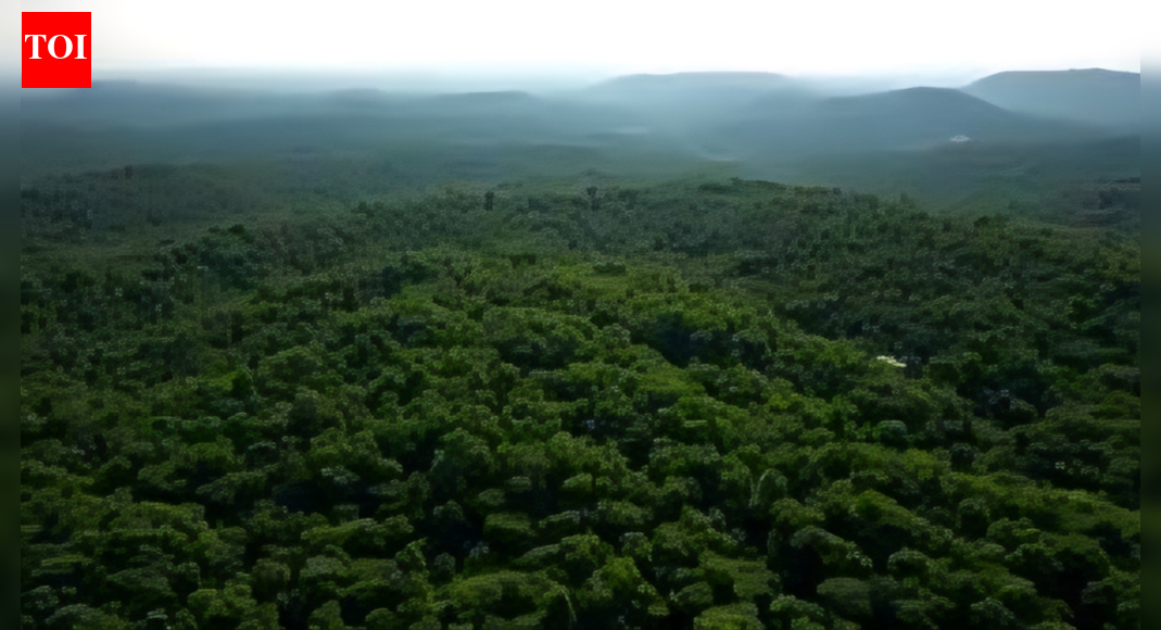 . NEW DELHI: SC on Monday expressed concern over forest land being grabbed by private individuals in Uttarakhand and said it was shocking that the state govt remained a silent spectator over the years.While hearing an appeal on a litigation over a disputed parcel of forest land, a bench of CJI Surya Kant and Justice Joymalya Bagchi expanded the case and decided to examine the alleged grabbing of 2,866 acres of land – notified as govt forest land – and allegedly leased out in 1950 to Rishikesh-based society Pashu Lok Seva Samiti, which subsequently allotted land parcels to its members.”The facts prima facie show as to how thousands of acres of forest land has been systematically grabbed by private individuals…What seems to be shocking to us is that the State of Uttarakhand and its authorities are sitting as silent spectators when the forest land is being systematically grabbed in front of their eyes. Consequently, we propose to enlarge the scope of these proceedings suo motu. Let notice be issued,” it said.The bench ordered a probe into the case and sought a report from govt authorities. It directed all parties concerned to maintain status quo. It said land in dispute would not be sold or alienated, and no further construction would be carried out. It directed that no third party right will be created over the disputed land.”The chief secretary and principal chief conservator of forests are directed to constitute an enquiry committee to examine facts and submit a report to this court. Private individuals are restrained from alienating the land or creating third party rights. No construction shall be allowed. The vacant land, other than residential houses, shall be taken into possession by forest department and collector concerned,” bench said.In this case, a large chunk of land – 2,866 acres – was leased out to Pashulok Seva Samiti in 1950 for allotting it to landless poor families of the area. The society surrendered 594 acres of land to forest dept in 1984. But the dispute arose after the petitioner claimed to have taken possession of the land in 2001.End of ArticleFollow Us On Social MediaVideosNew Video Reveals Final Moments of Hindu Man Dipu Before Lynching in BangladeshIndians Trapped By H-1B Renewal Chaos As US VP JD Vance Defends Visa Curbs As Christian PoliticsEx-TMC MLA Humayun Kabir Launches New Party, Targets Mamata Banerjee Ahead of PollsMuhammad Yunus Interim Rule Sparks Alarm, Indian Diplomats Back Hasina On Anti India Narrative ShiftYogi Adityanath Says Vande Mataram Became Victim of Congress Appeasement PoliticsNew Zealand India FTA Sparks Coalition Rift As PM Christopher Luxon Backs Deal, NZ First Rejects ItGujarat Student Says He Was Forced To Fight For Russia As Indians Remain Trapped Ukraine War CrisisPTI Leaders Hold Massive Protest in Peshawar Against Imran Khan’s 17-Year Jail SentenceBangladesh Turmoil: Another Youth Leader Shot In Head Days After Osman Hadi’s KillingAravalli Hills Row: Why Definition Battle Could Decide Mining Water Security And AQI In North India123PhotostoriesDoes Niagara Falls freeze over in winter? Here’s the truth5 reasons why okra water has become a go-to drink for people who want to manage their sugar levelsFrozen but fearless: 5 snowy animals that rule the coldest places on earthHbA1c over 6%? Nephrologist shares tests that matter beyond this level of blood sugarWhy should you add this leaf powder to your homemade winter soups? Here’s how you can make this super healthy soup10 most loved countries in the world in 2025Discover the secret of financial success according to your birth dateTop 10 richest countries in the world in 20257 simple fruit plants ideal for a lush balcony garden6 quirky book titles that instantly spark curiosity at first glance123Hot PicksUAE WeatherEpstein files releasedGold price predictionGold rate todaySilver rate todayPublic Holidays DecemberBank Holidays DecemberTop TrendingJosh Allen Luxury Car CollectionRandi MahomesAuston MatthewsPatrick MahomesLebron JamesLos Angeles DodgersPaul Heyman and Marla Heyman Net WorthWho is chris oladokunA JA WilsonCharles Barkley