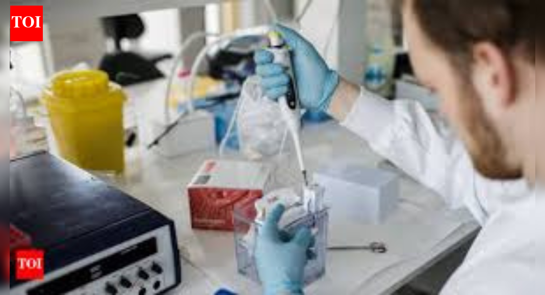 Representative image  CHENNAI: A tiny needle system that sends cancer drugs directly into breast cancer cells, while protecting healthy ones, has been developed by researchers from IIT Madras and two Australian universities – Monash University and Deakin University. The nanotechnology injection delivery system packs the anticancer drug, doxorubicin, into special protective bubbles, then pushes it inside cells using needle-shaped silicon tubes on a chip.”It was a study on petri dishes,” said IIT-M assistant professor Dr Swathi Sudhakar, who works with the department of applied mechanics and biomedical engineering. “We could release the drug directly, but that would be faster delivery. So, for sustained release, it was wrapped in a bubble and pushed into it. Lab tests on breast cancer cells showed the drugs stopped cell growth, killed cancer cells, and blocked new blood vessels for tumours,” Dr Sudhakar said.Breast cancer is one of the most common types of cancer affecting women in both urban and rural areas. In cities such as Chennai, 28% of cancers in women are breast cancers, followed by cervix (14%), ovary (6%), and corpus uteri (4%). Conventional treatments such as chemotherapy and radiation often harm non-cancerous tissues due to systemic drug exposure, causing side effects.Results of the study published in the peer-reviewed journal Advanced Materials Interfaces show the new system worked 23 times better than the drug alone. “It had higher potential even when used in smaller amounts. There is thermal stability and long-term drug release, up to 700 hours, and it addresses common drawbacks of existing nanocarrier systems, such as burst release and poor compatibility,” she said.The technology, they said, is a reliable and scalable candidate for future trials.End of ArticleFollow Us On Social MediaVideosNew Video Reveals Final Moments of Hindu Man Dipu Before Lynching in BangladeshIndians Trapped By H-1B Renewal Chaos As US VP JD Vance Defends Visa Curbs As Christian PoliticsEx-TMC MLA Humayun Kabir Launches New Party, Targets Mamata Banerjee Ahead of PollsMuhammad Yunus Interim Rule Sparks Alarm, Indian Diplomats Back Hasina On Anti India Narrative ShiftYogi Adityanath Says Vande Mataram Became Victim of Congress Appeasement PoliticsNew Zealand India FTA Sparks Coalition Rift As PM Christopher Luxon Backs Deal, NZ First Rejects ItGujarat Student Says He Was Forced To Fight For Russia As Indians Remain Trapped Ukraine War CrisisPTI Leaders Hold Massive Protest in Peshawar Against Imran Khan’s 17-Year Jail SentenceBangladesh Turmoil: Another Youth Leader Shot In Head Days After Osman Hadi’s KillingAravalli Hills Row: Why Definition Battle Could Decide Mining Water Security And AQI In North India123PhotostoriesShin Min-Ah weds Kim Woo-Bin: Shin Min-Ah stuns in the most stunning bridal gown ever! See stylish wedding picsDoes Niagara Falls freeze over in winter? Here’s the truth5 reasons why okra water has become a go-to drink for people who want to manage their sugar levelsFrozen but fearless: 5 snowy animals that rule the coldest places on earthHbA1c over 6%? Nephrologist shares tests that matter beyond this level of blood sugarWhy should you add this leaf powder to your homemade winter soups? Here’s how you can make this super healthy soup10 most loved countries in the world in 2025Discover the secret of financial success according to your birth dateTop 10 richest countries in the world in 20257 simple fruit plants ideal for a lush balcony garden123Hot PicksUAE WeatherEpstein files releasedGold price predictionGold rate todaySilver rate todayPublic Holidays DecemberBank Holidays DecemberTop TrendingTom BradyDeshaun WatsonShai Gilgeous Alexander NBA ContractLeBron JamesVictor WembanyamaLos Angeles DodgersPaul Heyman and Marla Heyman Net WorthRavens vs PatriotsJason KelceCharles Barkley