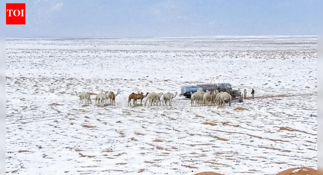 Saudi Arabia sees rare snowfall after 30 years, desert mountains turn into winter wonderland | World News