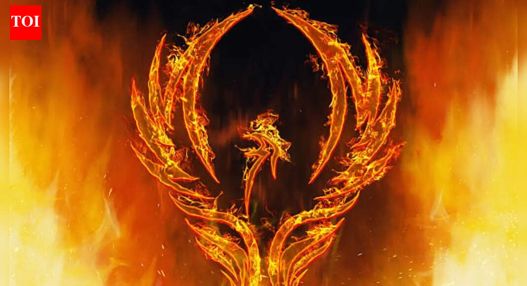 These zodiac signs rise after a difficult phase of life |