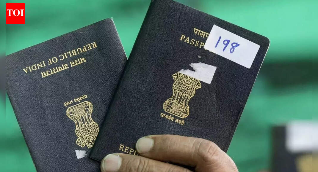 ‘Indian passport no longer adds value to my life’: Tech educator frustrated over visa hurdles