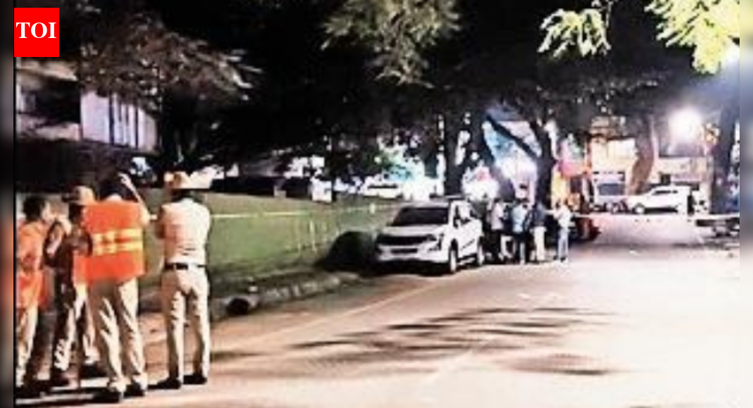 Suspected affair, quit job: Techie shoots wife dead on Bengaluru road  after divorce notice; surrenders