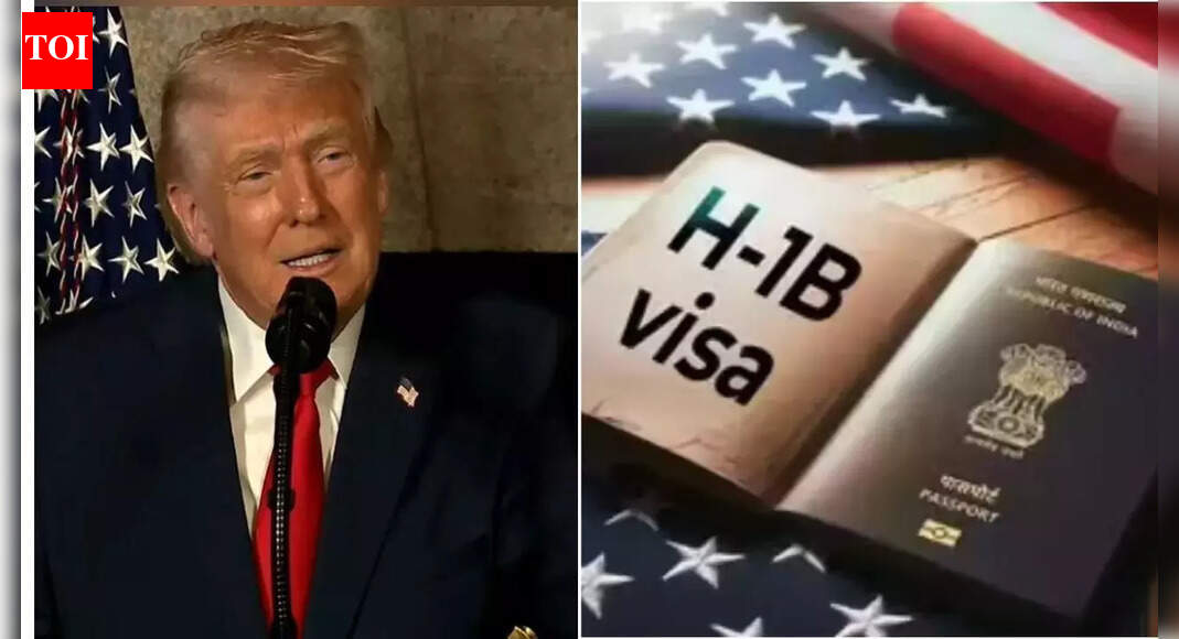 ‘Policy decision’: US judge refuses to scrap Trump’s 0,000 H-1B visa fee; move to curb immigration