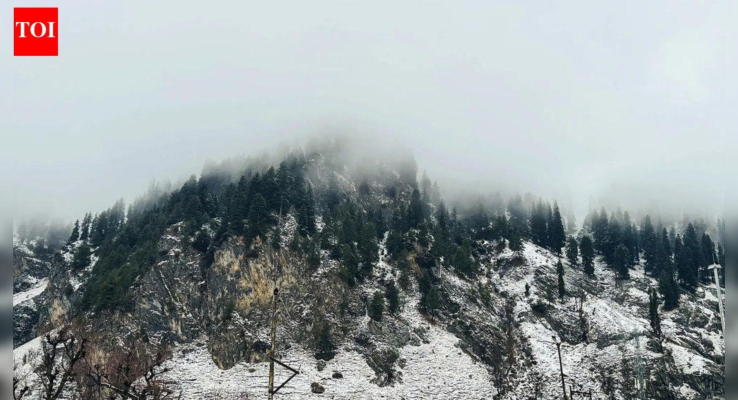 SRINAGAR: An avalanche warning was issued in five districts of Jammu and Kashmir on Wednesday in view of the recent heavy snowfall in the higher reaches of the Union territory, officials said.The low danger avalanche warning has been issued for Doda, Ganderbal, Kishtwar, Poonch and Ramban districts. The avalanche is likely to occur 2,800 metres above these districts during the next 24 hours, they said.People have been asked to avoid avalanche-prone areas and follow official advisories.Most of the higher reaches of Jammu and Kashmir have received moderate to heavy snowfall this week.End of ArticleFollow Us On Social MediaVideosPak Leader Exposes Munir’s Kabul Hypocrisy As Sharif’s Party Threatens India Over Bangladesh CrisisDRDO Completes User Trials Of Akash-NG Air Defence Missile System, Ready For InductionBangladesh Slipping Into Pakistan’s Pocket: Sushant Sareen Warns India Of New Eastern Security FrontISRO Launches Heaviest-Ever Satellite BlueBird Block-2 Onboard LVM3 RocketBJP Hits Out At Mamata Govt For Stopping Demonstrations Over Bangladesh ViolenceDelhi HC Grants Bail To Kuldeep Sengar; Victim’s Sister Says ‘Put Us In Jail To Keep Us Safe’India Summons Bangladesh High Commissioner Over Violence Against Hindus, Protests Continue”No Cases Filed”: Prachy Accuses Yunus Administration Of Protecting Convicted TerroristsExperts Warn India As Yunus Loses Control In Bangladesh After Hadi Killing Sparks Unrest NationwidePAN-Aadhaar Deadline Nears: How To Link Before December 31 Or Risk Inoperative PAN From Next Year123PhotostoriesWeddings of 2025: Samantha Ruth Parbhu and Raj Nidimoru to Selena Gomez-Benny Blanco, Celebs who exchanged vows this year7 easiest languages for kids to learn; take a lookThe career you are destined for as per birth numberPsychology says these 7 behaviors make some people impossible to ignoreSimple daily exercises to improve circulation and ease varicose vein discomfort6 reasons why teens feel tired even after enough sleepKiara Advani’s first post-baby photoshoot is here, and her Vogue look is pure old-world magic4 everyday foods that naturally keep your arteries clearYour birth number knows how to save you from giving up in life5 countries with the best work-life balance123Hot PicksUAE WeatherPAN-Aadhaar linkingKarbi Anglong CurfewGold rate todaySilver rate todayPublic Holidays DecemberBank Holidays DecemberTop TrendingShane Bieber and Kara Net WorthMLB Trade RumorsMunetaka MurakamiConnor Bedard Net WorthAleksander Barkov GirlfriendAuston MatthewsJake GuentzelTrey Yesavage and Taylor Fricks EngagementJade Cargill and Brandon Net WorthMax Holloway Net Worth