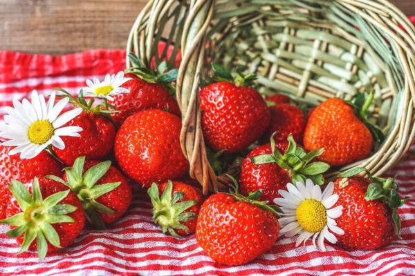 How eating strawberries in winter supports immunity, heart health and digestion |