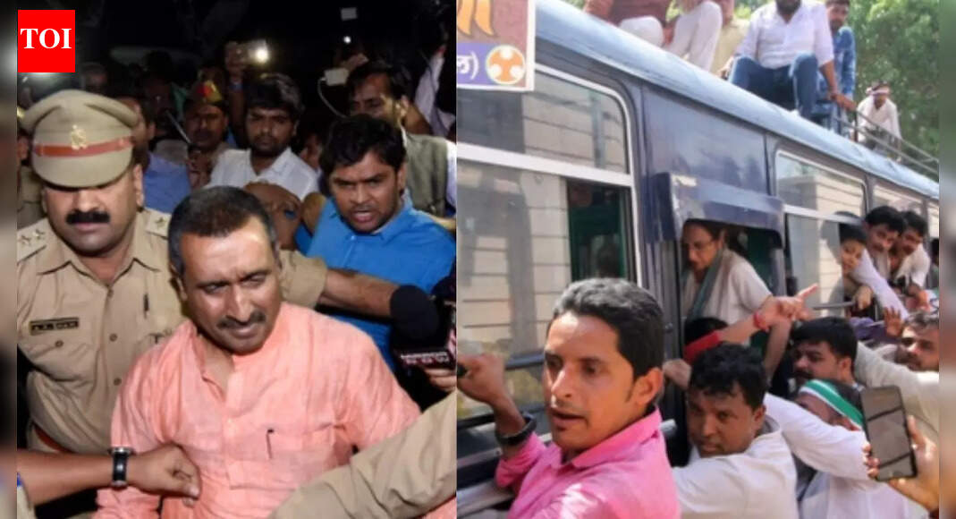 ‘Wanted to kill myself’: Unnao rape survivor protests Kuldeep Sengar bail at India Gate