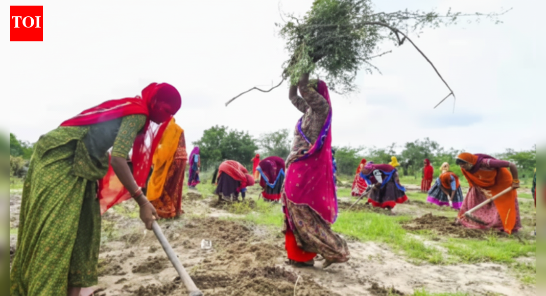 . Driving the newsThe MGNREGA – a flagship UPA-era program that guaranteed 100 days of wage employment to rural households – has been replaced by the Viksit Bharat–Guarantee for Rozgar and Ajeevika Mission (Gramin) or VB-G RAM G Act.Union minister Shivraj Singh Chouhan framed it as a bold leap forward: “This is a far better scheme that will completely transform villages.”Critics, led by Congress leader Sonia Gandhi, allege it’s a stealth demolition of rights-based welfare: “The very structure of MGNREGA… has been annihilated.” Lok Sabha Passes Viksit Bharat G Ram G Bill Amid Protests, Opposition Tears Copies Over Gandhi Name But beyond the political heat, the quiet engine driving this reform is economic evolution. India’s welfare state – and rural labour market – has changed dramatically since 2005. The logic behind G RAM G isn’t just political; it’s economic.Why it mattersMGNREGA was designed as a safety valve. Its purpose was simple: if private work dried up, the state would step in and guarantee wages. It was meant to stabilise consumption in bad years and give the rural poor bargaining power in the labour market. On those terms, it succeeded.But it is no longer the India of the mid-2000s.In 2005: Rural safety nets were thin, bank accounts rare, and the idea of digital transfers futuristic.In 2025: Over 80 crore people get free food grain for the next five years. DBT has matured.States are pumping Rs2.46 lakh crore annually into direct cash transfers to women.MGNREGA, while historic in its impact, was built for an older economy. G RAM G is designed for a digitally connected, subsidy-rich, rural India where the challenge isn’t only poverty relief – it’s productivity, asset creation, and aligning with farm realities. . The big picture: Not a tweak, but a rethinkAt a farmer rally in Rajasthan, Chouhan underlined the new mission:“We have not reduced it but increased it… Labourers will get wages and villages will see comprehensive development. Roads, drains, schools, everything can be built.”That shift – from emergency wage distribution to rural asset generation – reflects a deeper economic change.What they’re sayingSonia Gandhi calls G RAM G a “collective moral failure,” warning of job loss and loss of dignity: “The removal of the Mahatma’s name was only the tip of the iceberg.”The BJP’s Amit Malviya hit back: “Her arguments rest on mischaracterisations, selective memory, and outright falsehoods.”The divide is ideological – but also generational, rooted in two welfare philosophies: permanent subsidy vs productivity-driven support.Rahul Gandhi called it an ‘insult to the ideals of Mahatma Gandhi’ and said the law bulldozes “both MGNREGA and democracy.”Between the lines: The real economic logic of G RAM G1. The safety net is now a floor, not a fallbackMGNREGA was built to prevent rural starvation and mass migration during crop failures and lean seasons. That logic worked in 2005.But today:PMGKAY offers free food grain to 80 crore people until 2029.NFSA guarantees subsidised food to two-thirds of India. DBT infrastructure reaches 45 crore beneficiaries.Implication: With calories protected, the role of employment guarantee schemes can shift from consumption smoothing to income generation through durable assets.In Chouhan’s words, “If needed, farm roads can also be constructed… everything can be built.”2. States are already flooding households with cash – so duplication is inefficient.From 1 state in 2020 to 15 states in 2025, unconditional cash transfers (UCTs) to women are now a Rs 2.46 lakh crore juggernaut.Madhya Pradesh: Ladli Behna Scheme – Rs 1,000–Rs1,500/month.Karnataka: Gruh Lakshmi – Rs 2,000/month.Telangana: Mahalakshmi – Rs 2,500 + LPG subsidy + free bus rides. . Why this matters: In villages where households already get regular cash + free food, demand for physical labour schemes changes.Women – the primary MGNREGA participants – are less likely to show up for work at Rs 220/day when cash arrives in their bank. . G RAM G acknowledges this by focusing on village development outcomes, not just labour targets. . 3. G RAM G fixes a paradox MGNREGA helped create: Labour shortages during harvestOne of the least discussed but most consequential changes is also one of the most controversial: The ability of states to suspend works for up to 60 days during peak sowing and harvesting seasons.Under MGNREGA, this was effectively taboo. Work was meant to be available year-round, on demand. But over time, farmers across states complained that the programme had become a rival employer. During peak agricultural seasons, when labour was needed most, workers often chose guaranteed public works instead. Wages rose. Harvests were delayed. Small farmers paid the price.The new law openly acknowledges this tension. By allowing a notified pause during peak seasons, it treats the employment guarantee not just as welfare, but as a labour-market instrument that must coexist with agriculture rather than crowd it out.States can pause work for 60 days to prevent a labour squeeze during critical farming periods.This reflects labour market realism, not policy retreat. In today’s India.Farm productivity is vital.Labour availability during key agri windows is essential.G RAM G helps re-sync the rural workforce with agri cycles, rather than cannibalising farm labour.“They (MGNREGA) are trying to scare labourers… but we have increased the days to 125,” said Chouhan.4. India needs to move from “supporting poverty” to “building capacity”India’s economy is set to cross  trillion soon, but per capita income remains modest – around ,800/year.That creates a challenge: How do we support vulnerable households without freezing them in place?“The real nature of the Modi government’s intentions can be understood from its decade-long track record of throttling MGNREGA,” Sonia Gandhi wrote in an article in a national daily.But G RAM G’s supporters argue the opposite: the scheme is not abandoning rights but upgrading themFrom income support to income generationFrom person-days to water tanks, roads, climate resilienceFrom centralised bureaucratic design to village-level planningBy raising guaranteed work to 125 days and channeling it into productive, measurable outputs, G RAM G aims to raise village capability – not just survival.What next: Execution is the litmus testEven the most elegant economic theory fails if delivery falters. G RAM G’s success hinges on four critical design principles:1. Avoid stealth caps: Centre determines normative funding per state – but must ensure that does not limit the legal guarantee.2. Use the 60-day pause wisely: It should match local agri calendars, not become a loophole to under-provide work.3. Biometrics must include – not exclude: With tech-driven tracking, grievance redress and offline options must remain strong.4. Measure outcomes, not just inputs: Focus must shift from how many people worked to what got built, how it’s used, and what productivity gains it generates.Zoom out: The economics of co-ownershipThe 60:40 Centre-State cost sharing is controversial but crucial. It ends the previous model where states authorised spending and the Centre paid the bill.Now:States must co-own work quality.Panchayats get more voice in planning.Centre retains unemployment allowance provision – if work isn’t provided in 15 days.Chouhan assured at the rally, “Funds won’t be swindled. Wages will be paid with interest if delayed.”It’s a governance pivot: from passive disbursement to performance-driven delivery.The bottom line:VB-G RAM G is not just a renamed MGNREGA. It’s a fundamentally new compact between India’s rural poor, its states, and its economy.In a welfare-rich, DBT-driven, digitally connected India:Safety nets must become springboards.Cash cannot replace infrastructure.Relief must evolve into resilience.G RAM G, with all its caveats and criticism, tries to answer a simple but vital question: What should rural employment guarantee look like – in a T India where the real challenge is not food or cash, but opportunity?About the AuthorTOI News DeskThe TOI News Desk comprises a dedicated and tireless team of journalists who operate around the clock to deliver the most current and comprehensive news and updates to the readers of The Times of India worldwide. With an unwavering commitment to excellence in journalism, our team is at the forefront of gathering, verifying, and presenting breaking news, in-depth analysis, and insightful reports on a wide range of topics. The TOI News Desk is your trusted source for staying informed and connected to the ever-evolving global landscape, ensuring that our readers are equipped with the latest developments that matter most.”Read MoreEnd of ArticleFollow Us On Social MediaVideosBluebird Lift-Off Shows ISRO Commercial Power As Nambi Narayanan Calls LVM-3 Game Changer MoveYunus Govt Takes Responsibility Of Dipu Das Family After India Erupts Over Hindu Man’s LynchingOsman Hadi’s Brother Accuses Yunus Regime Of Murder Plot To Defer Bangladesh Polls Scheduled in FebPak Leader Exposes Munir’s Kabul Hypocrisy As Sharif’s Party Threatens India Over Bangladesh CrisisDRDO Completes User Trials Of Akash-NG Air Defence Missile System, Ready For InductionBangladesh Slipping Into Pakistan’s Pocket: Sushant Sareen Warns India Of New Eastern Security FrontISRO Launches Heaviest-Ever Satellite BlueBird Block-2 Onboard LVM3 RocketBJP Hits Out At Mamata Govt For Stopping Demonstrations Over Bangladesh ViolenceDelhi HC Grants Bail To Kuldeep Sengar; Victim’s Sister Says ‘Put Us In Jail To Keep Us Safe’India Summons Bangladesh High Commissioner Over Violence Against Hindus, Protests Continue123PhotostoriesWinter Special: How to make Kolkata-Style Egg Roll at homeFrom Witanhurst to Villa Leopolda: 8 biggest residential homes built across the globeFrom fear to fatality: Ganeshkhind Road exposes Pune’s pedestrian crisisJudi Dench to Bruce Willis: Heartbreaking reasons film legends had to QUIT actingFrom playground to powerhouse: Chennai’s Royapuram gets Rs 1.5cr sports complex2026 Messages for every birth date you need to knowTop AIIMS doctor lists 4 healthiest fruits and the right way to consume them6 teas that help support lung health in high AQIWinter Special: How to make Indian Railway–style Cream of Tomato Soup at homeNutrition fact of the day: How bok choy (pak choi) supports gut, bone and heart health123Hot PicksUAE WeatherPAN-Aadhaar linkingKarbi Anglong CurfewGold rate todaySilver rate todayPublic Holidays DecemberBank Holidays DecemberTop TrendingShane Bieber and Kara Net WorthLIC Home Loan Interest RateMunetaka MurakamiConnor Bedard Net WorthAleksander Barkov GirlfriendAuston MatthewsJake GuentzelTrey Yesavage and Taylor Fricks EngagementJade Cargill and Brandon Net WorthMax Holloway Net Worth