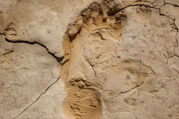 A 15,600-year-old human footprint in Chile may rewrite the story of the first Americans |