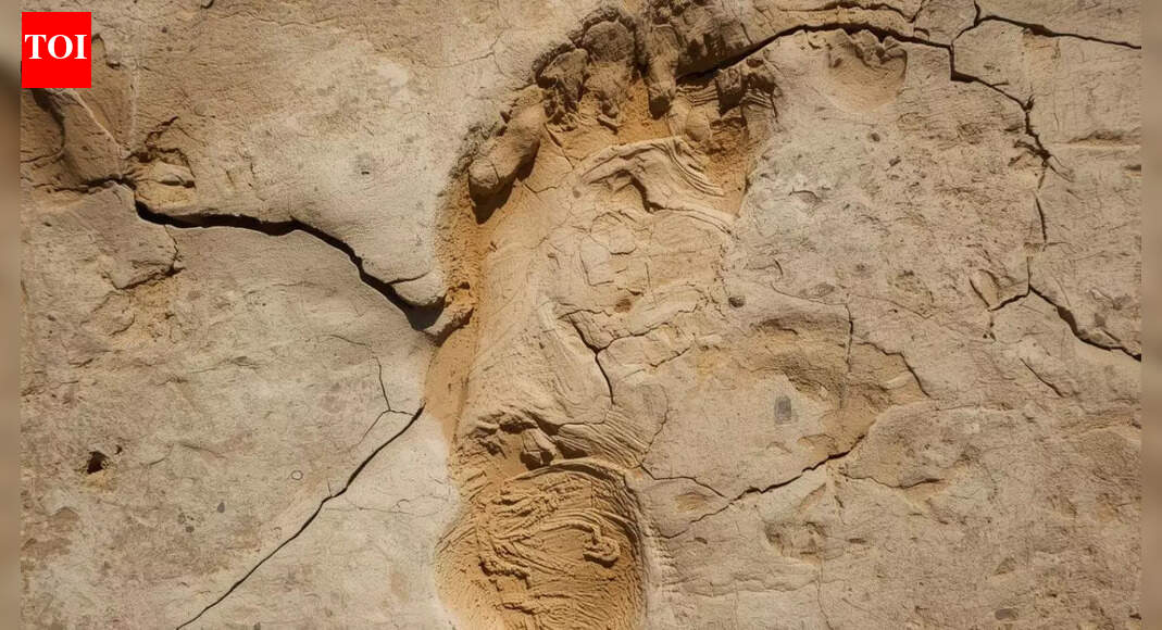 A 15,600-year-old human footprint in Chile may rewrite the story of the first Americans |