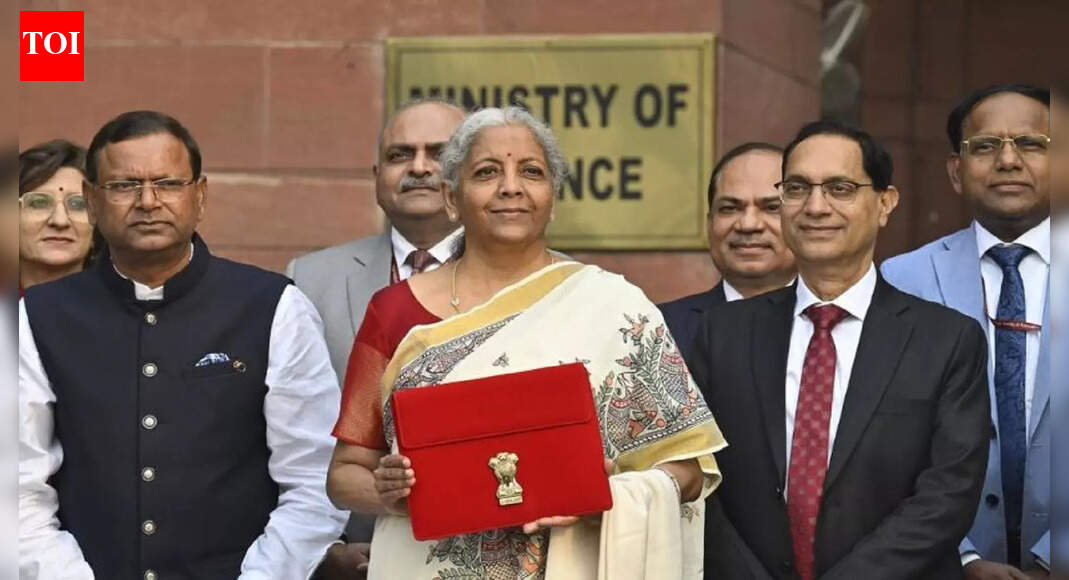 Year Ender 2025: What the Union Budget had for education this year